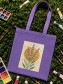 IERH-LAVANDA-XLOPOK-DJUT